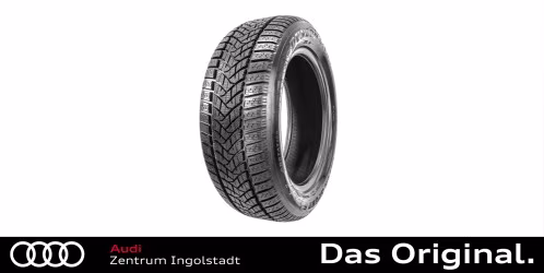 205/55 R16 91H Dunlop Winter Sport 5