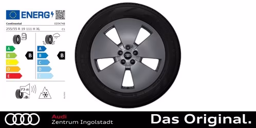 Original Audi Q8 e-tron / e-tron 19 Zoll Winterkomplettradsatz 5-Arm-Aero Continental ContiWinterContact TS850P AO 255/55 R19 111H XL 8,0Jx19 ET 34