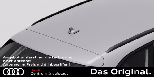 Lackierung einer Antenne in Fahrzeug Farbe (Antenne nicht im Preis inbegriffen!) Lackierung einer Antenne in Fahrzeug Farbe (Antenne nicht im Preis inbegriffen!)